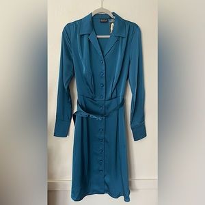 Voodoo Vixen Teal Satin Geraldine Shirt Dress - L
Never worn/non smoking home